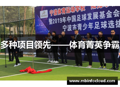 多种项目领先——体育菁英争霸